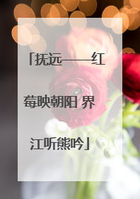 抚远——红莓映朝阳 界江听熊吟