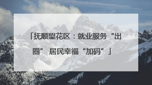 抚顺望花区：就业服务“出圈” 居民幸福“加码”