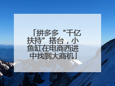 拼多多“千亿扶持”搭台，小鱼缸在电商西进中找到大商机