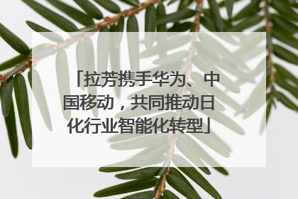拉芳携手华为、中国移动，共同推动日化行业智能化转型