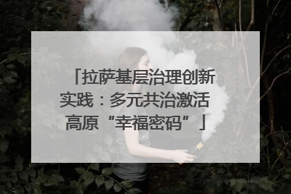 拉萨基层治理创新实践：多元共治激活高原“幸福密码”