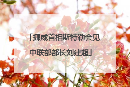 挪威首相斯特勒会见中联部部长刘建超