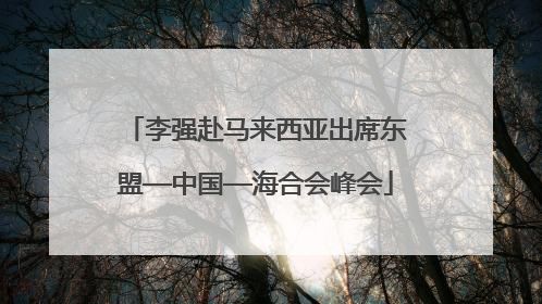 李强赴马来西亚出席东盟—中国—海合会峰会