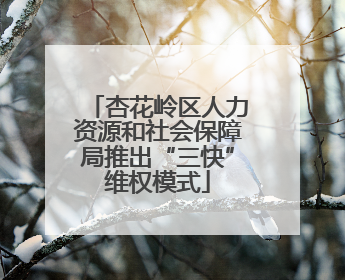 杏花岭区人力资源和社会保障局推出“三快”维权模式