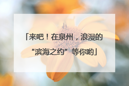 来吧！在泉州，浪漫的“滨海之约”等你哟