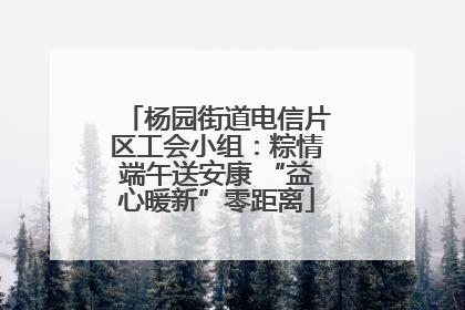 杨园街道电信片区工会小组：粽情端午送安康 “益心暖新”零距离