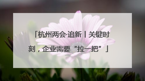 杭州两会·追新丨关键时刻，企业需要“拉一把”