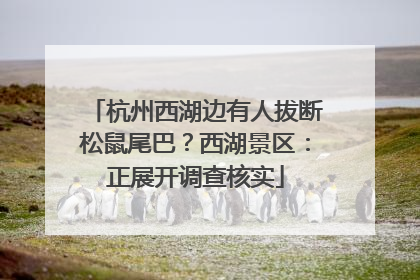杭州西湖边有人拔断松鼠尾巴？西湖景区：正展开调查核实