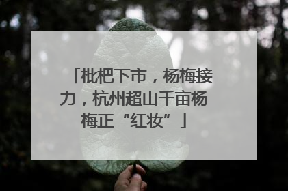 枇杷下市，杨梅接力，杭州超山千亩杨梅正“红妆”