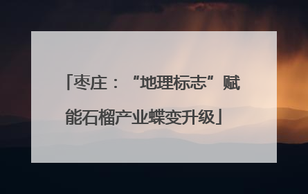 枣庄：“地理标志”赋能石榴产业蝶变升级