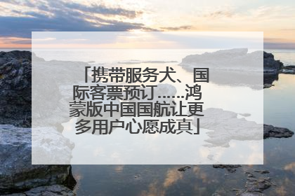 携带服务犬、国际客票预订……鸿蒙版中国国航让更多用户心愿成真