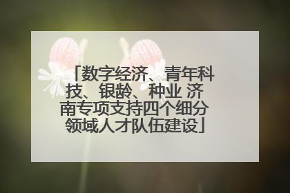 数字经济、青年科技、银龄、种业 济南专项支持四个细分领域人才队伍建设