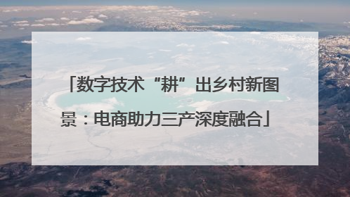 数字技术“耕”出乡村新图景：电商助力三产深度融合