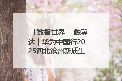 数智世界 一触冀达｜华为中国行2025河北沧州新质生产力峰会成功举办