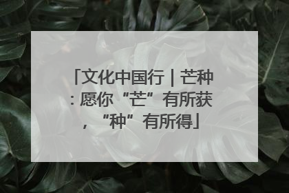 文化中国行｜芒种：愿你“芒”有所获，“种”有所得