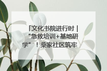 文化书院进行时｜“急救培训+基地研学”！桑家社区筑牢居民健康防线