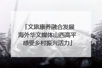文旅康养融合发展 海外华文媒体山西高平感受乡村振兴活力