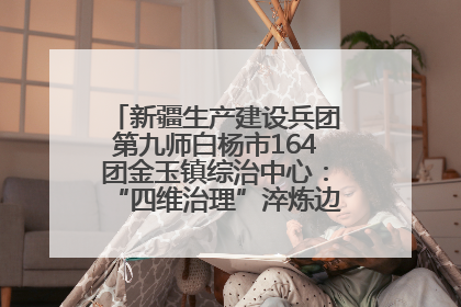 新疆生产建设兵团第九师白杨市164团金玉镇综治中心：“四维治理”淬炼边疆“枫桥样本”