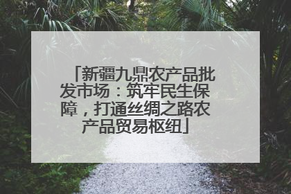 新疆九鼎农产品批发市场：筑牢民生保障，打通丝绸之路农产品贸易枢纽