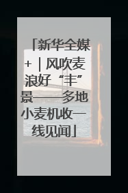 新华全媒+｜风吹麦浪好“丰”景——多地小麦机收一线见闻