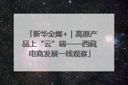 新华全媒+｜高原产品上“云”端——西藏电商发展一线观察