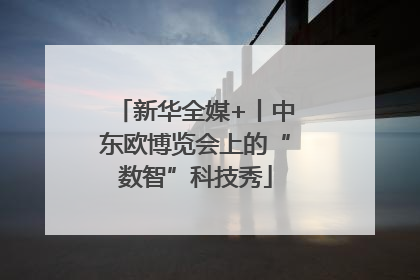 新华全媒+丨中东欧博览会上的“数智”科技秀