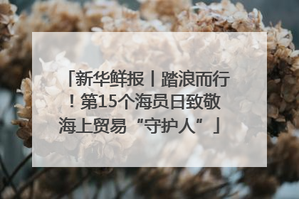 新华鲜报丨踏浪而行！第15个海员日致敬海上贸易“守护人”