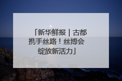 新华鲜报｜古都携手丝路！丝博会绽放新活力