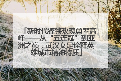 新时代铿锵玫瑰勇攀高峰——从“五连冠”到亚洲之巅，武汉女足诠释英雄城市精神特质