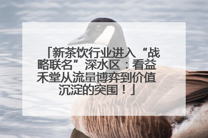 新茶饮行业进入“战略联名”深水区：看益禾堂从流量博弈到价值沉淀的突围！