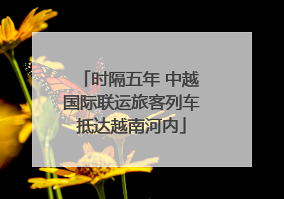 时隔五年 中越国际联运旅客列车抵达越南河内