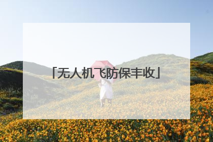 无人机飞防保丰收