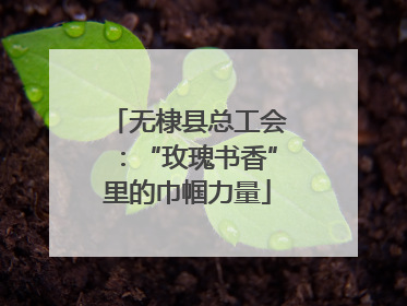 无棣县总工会：“玫瑰书香”里的巾帼力量