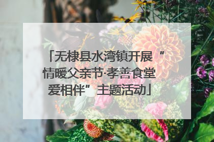 无棣县水湾镇开展“情暖父亲节·孝善食堂爱相伴”主题活动