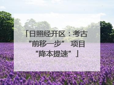 日照经开区：考古“前移一步” 项目“降本提速”