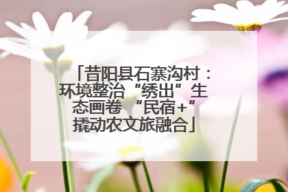 昔阳县石寨沟村：环境整治“绣出”生态画卷 “民宿+”撬动农文旅融合
