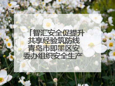 智汇安全促提升 共享经验筑防线 青岛市即墨区安委办组织安全生产共享专家现场观摩学习活动