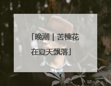 晚潮｜苦楝花在夏天飘落