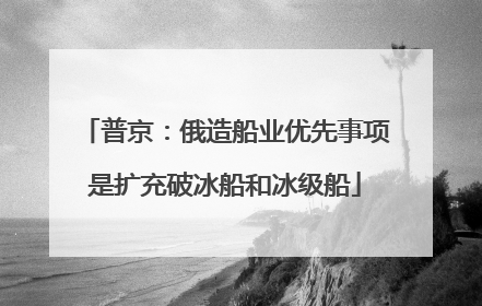 普京：俄造船业优先事项是扩充破冰船和冰级船