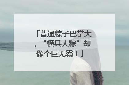 普通粽子巴掌大，“横县大粽”却像个巨无霸！