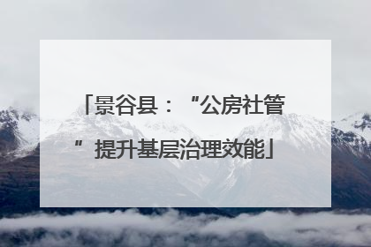 景谷县：“公房社管”提升基层治理效能