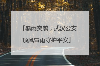 暴雨突袭，武汉公安顶风冒雨守护平安