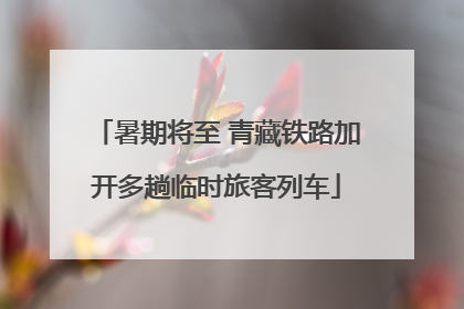 暑期将至 青藏铁路加开多趟临时旅客列车