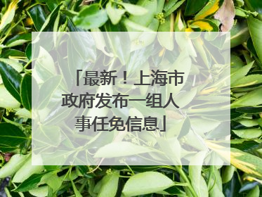 最新！上海市政府发布一组人事任免信息