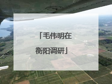 毛伟明在衡阳调研