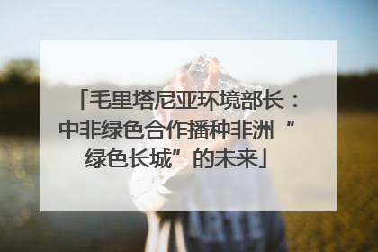 毛里塔尼亚环境部长：中非绿色合作播种非洲“绿色长城”的未来