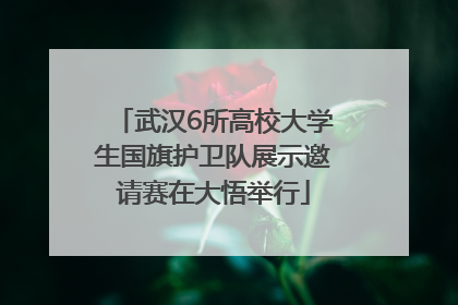 武汉6所高校大学生国旗护卫队展示邀请赛在大悟举行