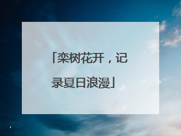 栾树花开，记录夏日浪漫