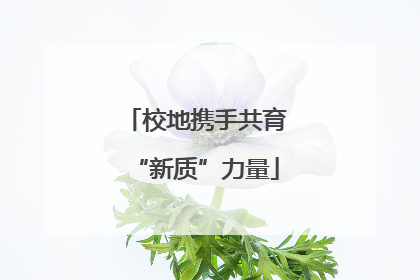 校地携手共育“新质”力量