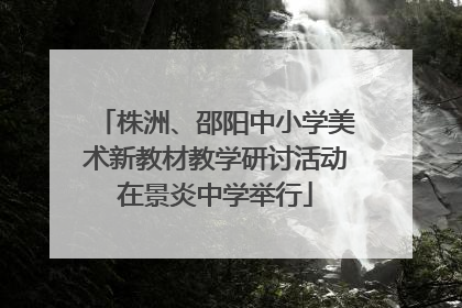 株洲、邵阳中小学美术新教材教学研讨活动在景炎中学举行